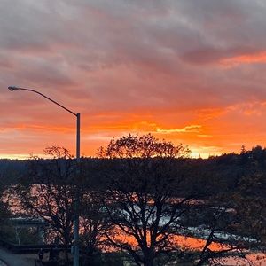 Meet your Posher, Sophie